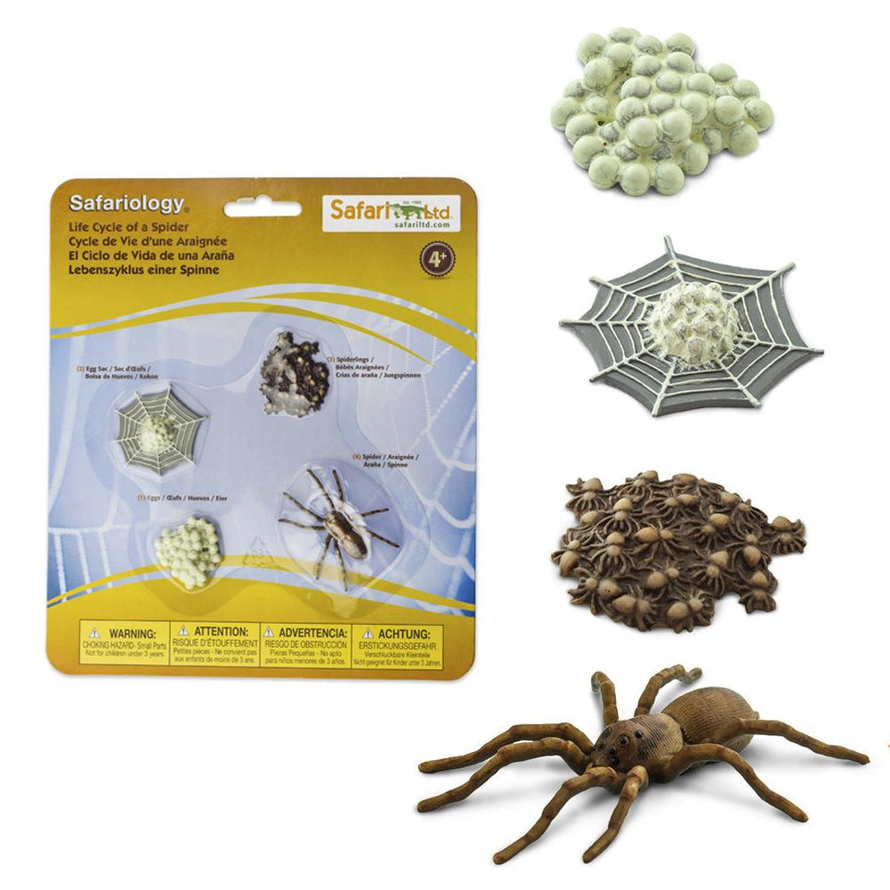 Image of “Life Cycle of a Spider” in its retail packaging, next to the figures included.