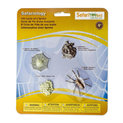 Photo of “Life Cycle of a Spider” in its retail packaging, on a white background.