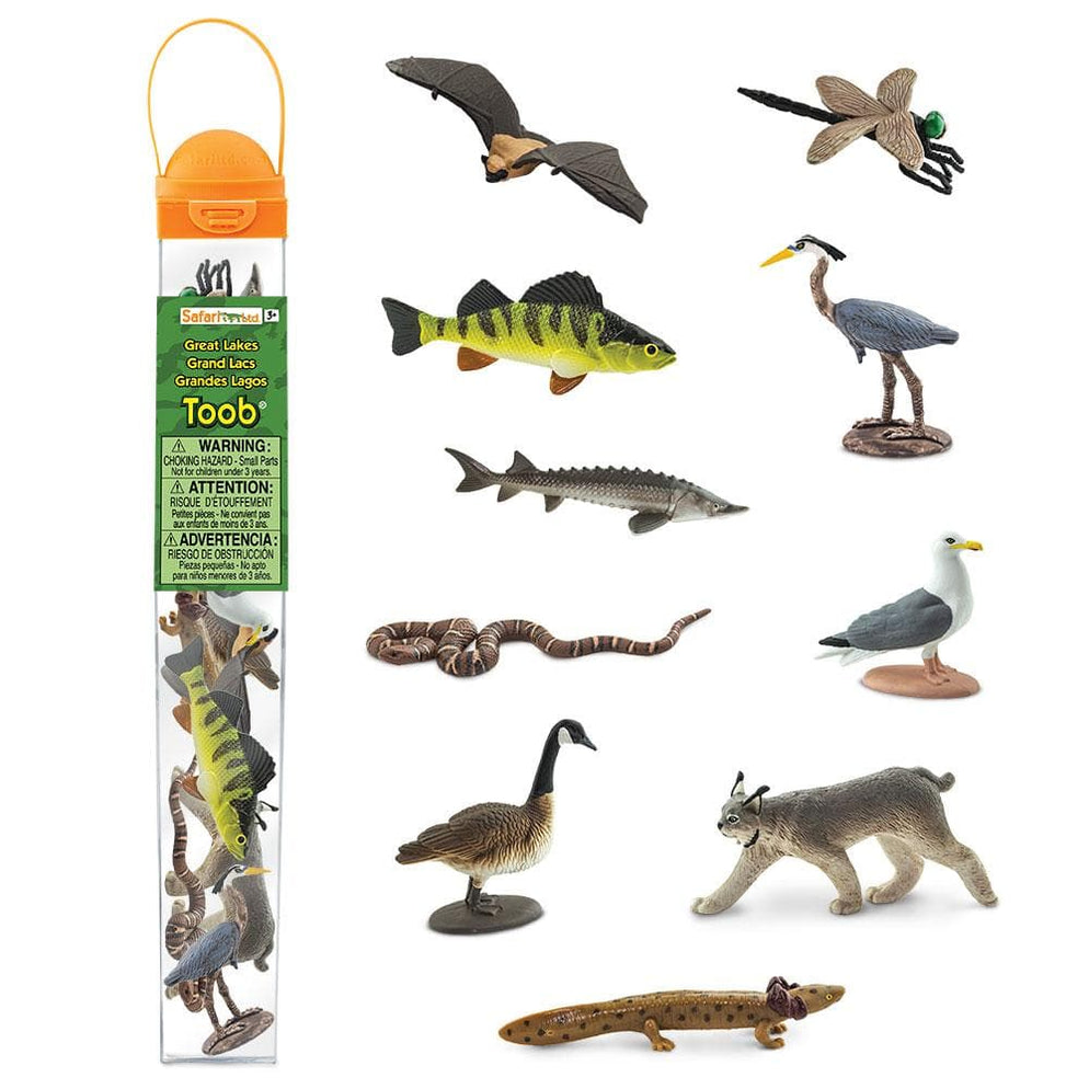 Photo of the “Great Lakes” TOOB, next to the figures included, on a white background.