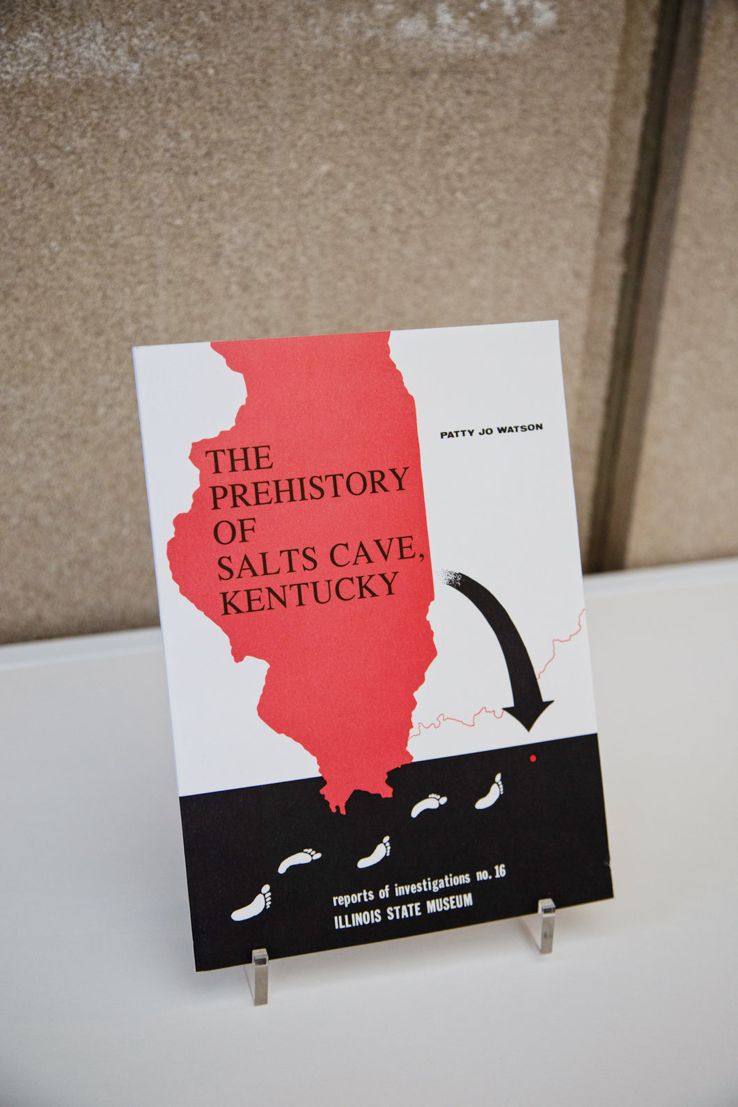 Cover photo of the book “The Prehistory of Salts Cave, Kentucky”.