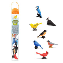 Load image into Gallery viewer, Photo of the “Backyard Birds” TOOB, next to the figures included in the set.
