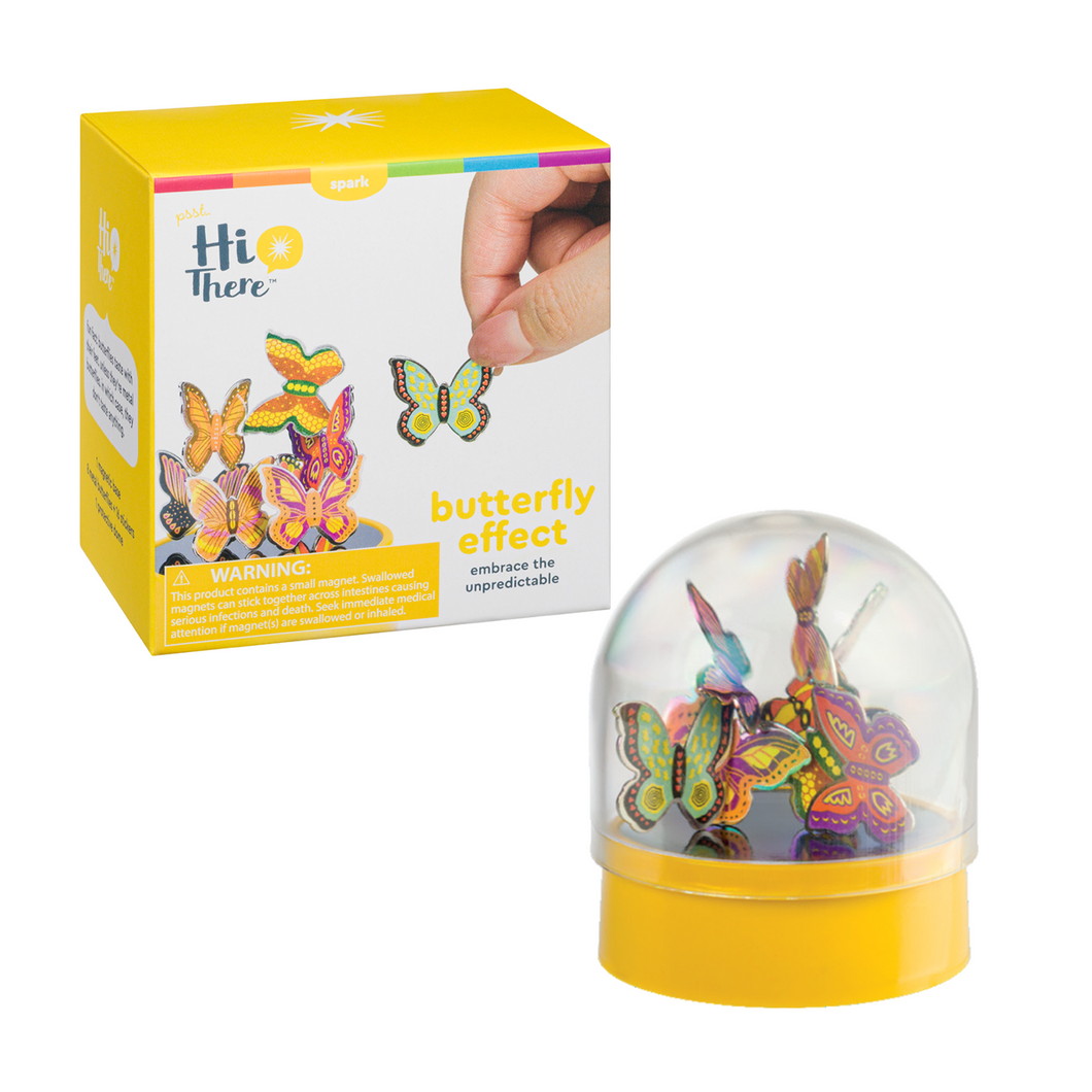 Photo of the “Butterfly Eggect” Magnet Puzzle Desk Toy, next to its box packaging, on a white background.
