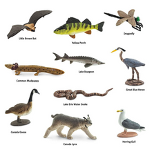 Load image into Gallery viewer, Image of the figures included in the “Great Lakes” TOOB, with names for each figure.
