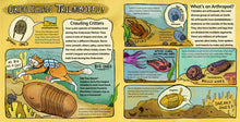 Load image into Gallery viewer, “Ordovician Trilobites” spread pages from “Into the Ordovician”.
