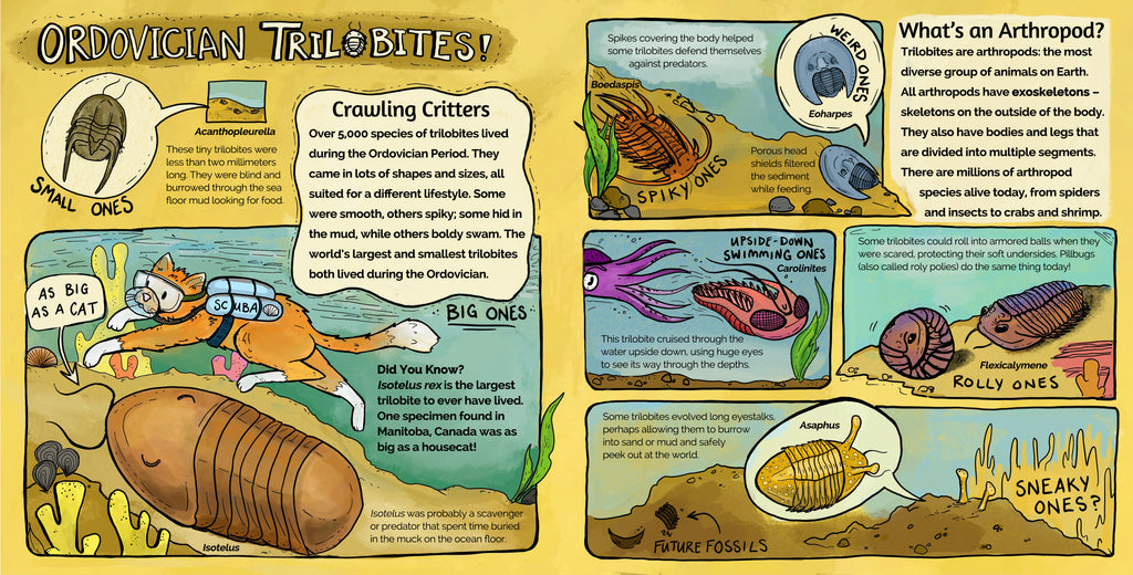 “Ordovician Trilobites” spread pages from “Into the Ordovician”.