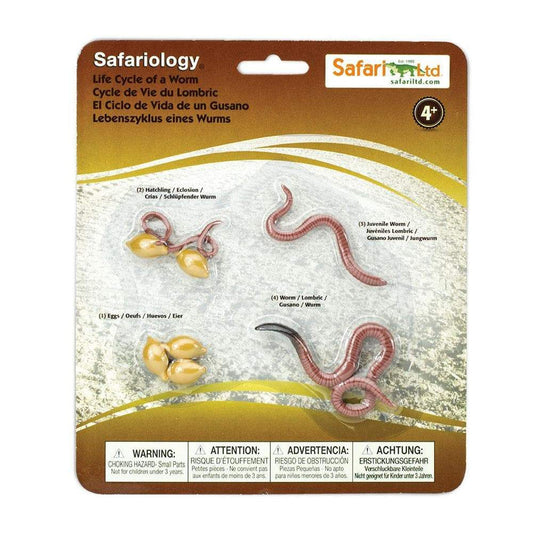 Image of the “Life Cycle of a Worm” figure set, in its retail packaging.